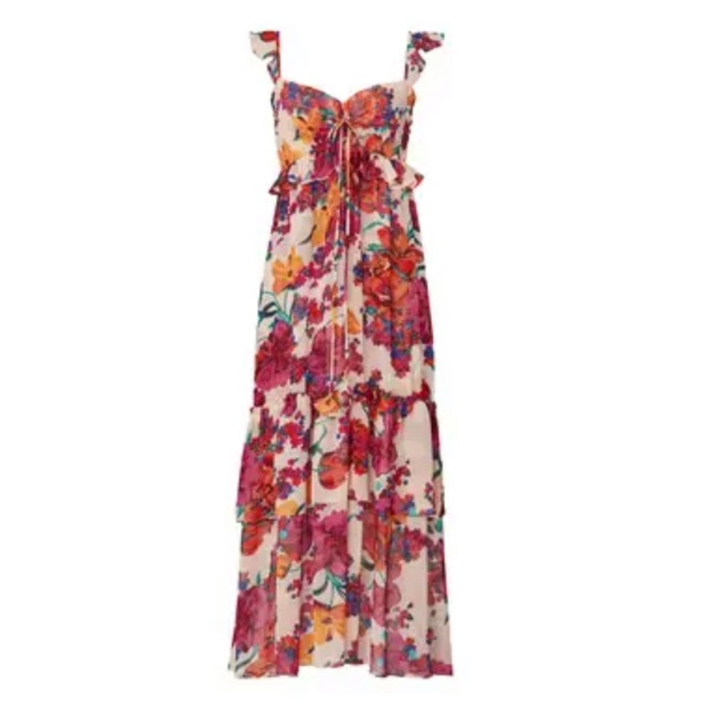 Misa Los Angeles multicolor maxi dress